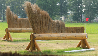 eventing-hindernissen boomstam met schuin riet dubbel