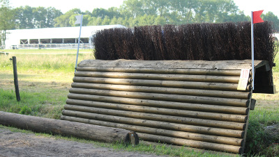 eventing-hindernissen bulfin met bezemborstel