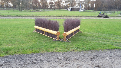 eventing-hindernissen dubbele haag lang